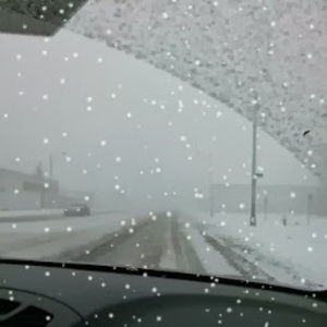 Meet your Posher, Maiya